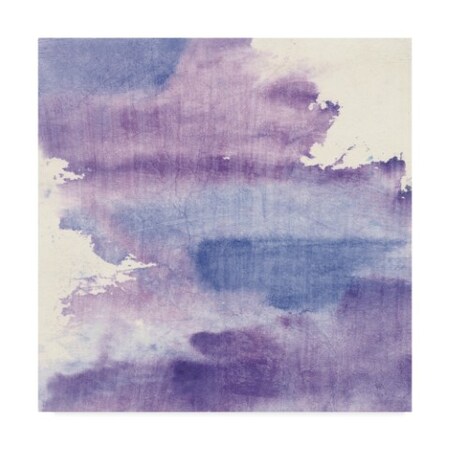 Chris Paschke 'Purple Haze I' Canvas Art,24x24
